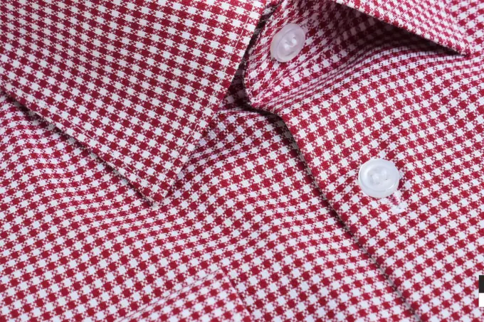 Ruby Redstone Houndstooth Shirt(FS151) - Image 3